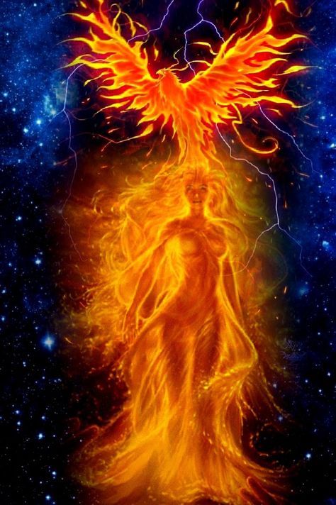 Phoenix Bird Art, Phoenix Wallpaper, Phoenix Artwork, Phoenix Images, Phoenix Tattoo Design, Colored Pictures, Artistic Painting, Flame Art, Amazing Artists