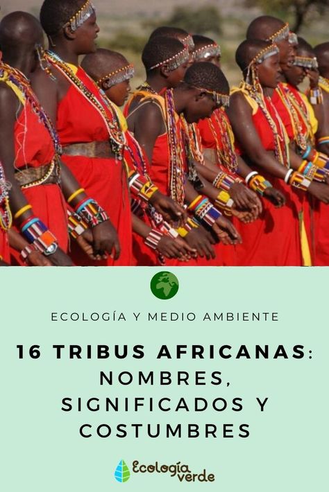 ¡Hoy celebramos el #DíaDeÁfrica! Aquí puedes conocer a 16 tribus africanas para conocer un poco más este increíble continente.🌍 #africa #diadeafrica #continenteafricano #tribusafricanas #sociedad #cultura #ecologia #ecologiaymedioambiente #tribusdeafrica Morocco Clothing, Edo Brides, Moroccan Clothing, Kente Cloth, Traditional Attire, African Countries, Under Dress, Traditional Dress, African Dress