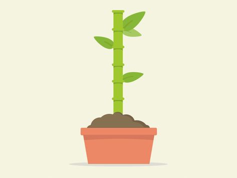 Plant Growing Animation, Plant Animation, Moving Illustration, Plant Presentation, Svg Animation, Animated Infographic, Tree Growth, Plant Window, March 5th