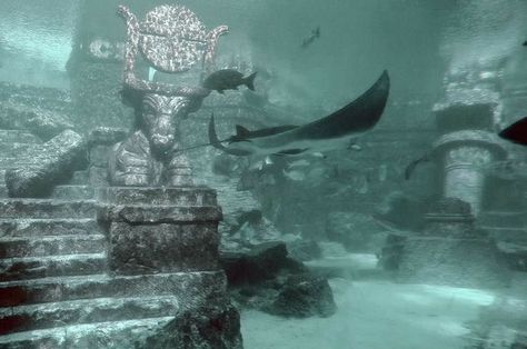 H2o Mermaids, Mermaid Cove, Siren Mermaid, Mermaid Aesthetic, Mermaid Life, Sea Witch, Sea And Ocean, Sirens, Atlantis