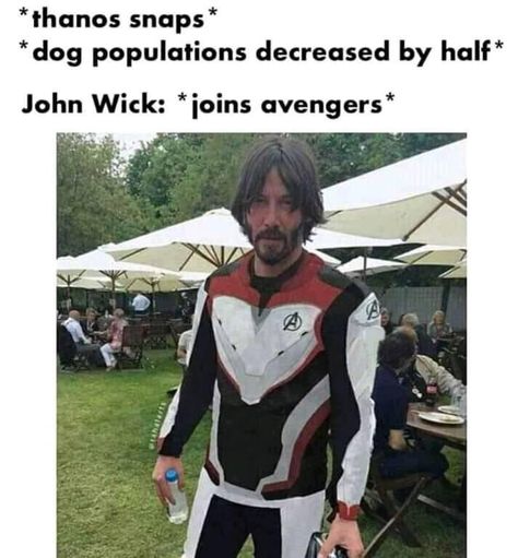 John Wick joins the Avengers The Boogeyman, Dc Memes, Avengers Memes, Marvel Entertainment, Memes Br, Avengers Funny, Geek Culture, Marvel Funny, Marvel Memes