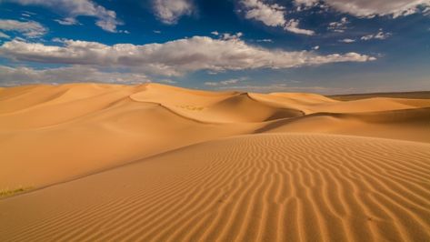 Dessert Landscaping, Desert Village, Dry Desert, Desert Area, Desert Dunes, Desert Colors, Sand Textures, Desert Life, Rc Truck