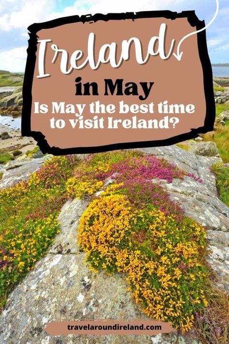 Wondering what it is like in Ireland in May? If you’ve been considering going to Ireland in May but have concerns, then read this article. From what the weather is like during May in Ireland, to where to go, what to do and what to pack, this answers all your burning questions about visiting Ireland in May. #travelaroundireland | Ireland in May | May in Ireland | spring in Ireland | Ireland in spring Ireland In April, Spring In Ireland, Ireland In June, Ireland In May, Ireland In Spring, Ireland Spring, Visiting Ireland, Ireland People, Backpacking Ireland