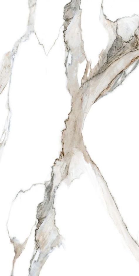 Cladding Texture, Materials Board Interior Design, Countertop Slabs, Tree Watercolor Painting, Marble Finish, Calacatta Gold, Venetian Plaster, New Interior Design, Material Textures