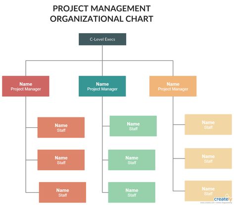 Project Management Organizational Structures - You can edit this template and create your own diagram. Creately diagrams can be exported and added to Word, PPT (powerpoint), Excel, Visio or any other document.  #ProjectManagement #Orgchart #OrganizationChart #Organigram #OrgchartTemplate #OrgchartExample Hr Planning, Medical Website, Medical Website Design, African Quotes, Organization Chart, Org Chart, Organizational Chart, 2nd Grade Math Worksheets, 1st Grade Math Worksheets