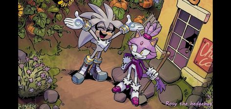 Sonic The Hedgehog Idw, Blaze The Cat, Sonic Unleashed, Silver The Hedgehog, Sonic Fan Characters, Sonic 3, Video Games Funny, Pin Art, Sonic Art