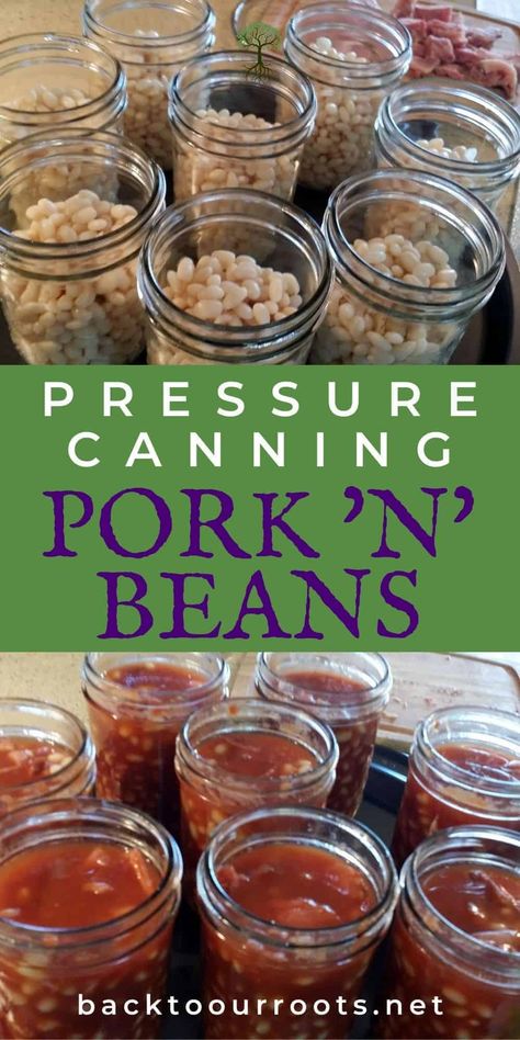 Canning Pinto Beans, Pork And Beans Recipe, Meal Starters, Canning Beans, Canned Baked Beans, Pressure Canning Recipes, Home Canning Recipes, Canning Vegetables, Canning Food Preservation