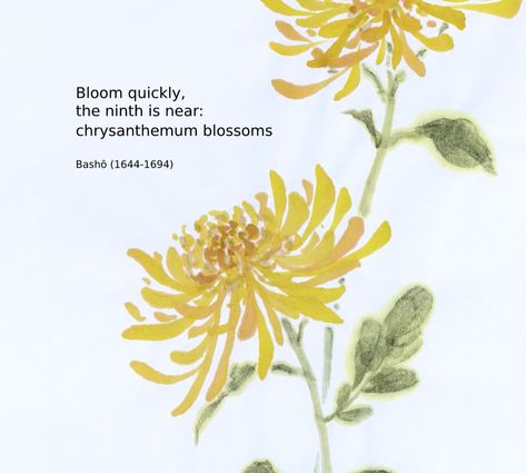 Learn step-by-step how to paint beautiful chrysanthemum with Japanese ink and colour   known as sumie or suibokuga - pictures of ink and water, this art tutorial is one of the foundation lessons into this artistic practice. Chrysanthemum Flower Quotes, Chrysanthemum Painting, Chinese Text, Chinese Wisdom, Japanese Poetry, Japanese Ink Painting, Zen Moments, Ink And Watercolour, Japanese Watercolor