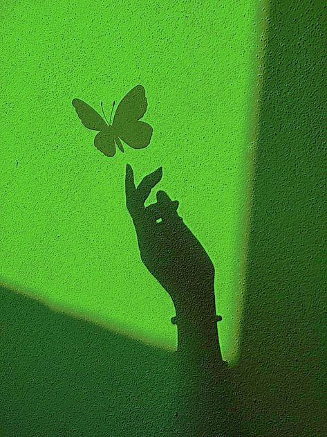 Green Branding, Dark Green Wallpaper, Dark Green Aesthetic, Slytherin Aesthetic, Neon Aesthetic, Green Butterfly, Wallpapers Backgrounds, Aesthetic Colors, Green Life