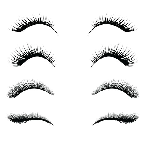 Curl lashes