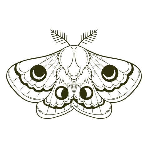 Moth Vector, Witchy Png, Graphic Desi, Create T Shirt, Svg Design, Png Image, Vector File, Moth, Png Images