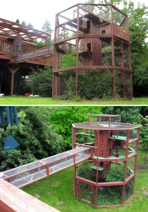 Cat Lovers Are Splashing Out On 'Catios' - Patio Spaces For Indoor Cats Diy Cat Enclosure, Katt Diy, Catio Ideas, Katt Grejer, Cat Enclosures, Cat Patio, Outdoor Cat Enclosure, Cat Run, Cat House Diy