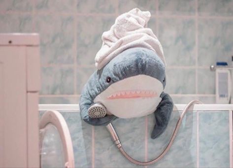 Stuffed Shark, Ikea Shark, Shark Pictures, Shark Plush, Cute Shark, Aquatic Animals, Cute Stuffed Animals, Baby Shark, Really Funny Pictures