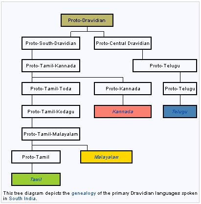 Dravidian languages Language Tree, Dravidian Languages, Freelance Translator, Language Map, Tree Diagram, Language Families, Verb Forms, European Languages, Sense Of Life