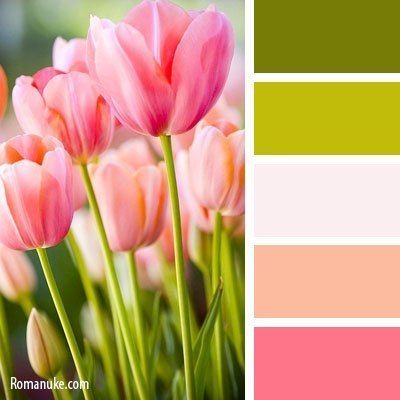 colour pallette Tulip Colors, Color Pantone, Affinity Designer, Design Seeds, Color Balance, Creative Colour, Color Grouping, Color Blending, Color Textures