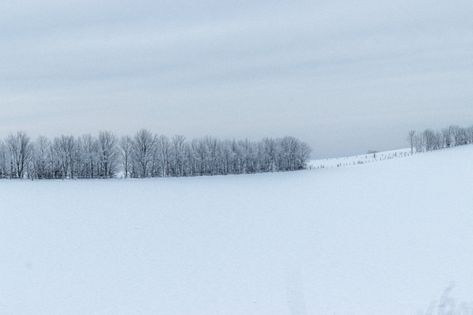 Snowy Field, Trees Beautiful, Bare Trees, Snow Covered Trees, Snowy Forest, Cloudy Sky, Draw On Photos, Adobe Photoshop Lightroom, Photoshop Lightroom