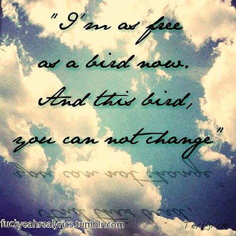 Free Bird has held a special place to me since my freshman year of high school and theres a list growing on how important its becoming so I think my first tattoo will have the lyrics. ♥ Lynyrd Skynyrd Quotes, Free Bird Lynyrd Skynyrd, Lynyrd Skynyrd Lyrics, Lynyrd Skynyrd Free Bird, Lynyrd Skynyrd Shirt, Tattoo Lyrics, Rock Music Quotes, Free As A Bird, Lyrics To Live By