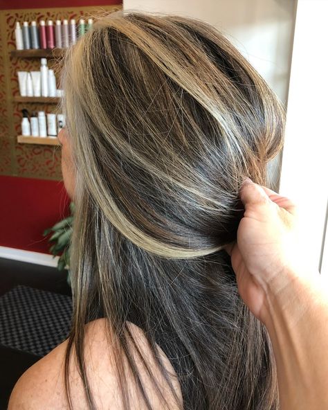 This guest messaged me with a pic of what she wants to achieve. She also sent me a pic of what her previous stylist was able to give her. She has been getting her hair colored about a level 5 for many years. Her goal is to let her grey come in and just highlight to blend the grey. She does not want to keep doing root touch ups to cover her grey and she also does not like the orange tones seen in her before pic. I had her come in to do some test strands after seeing her previous stylist couldn... Highlights On Level 5 Hair, Level 5 Hair, Root Touch Up, Orange Tones, Level 5, A Pic, Her Hair, Highlights, Hair Color