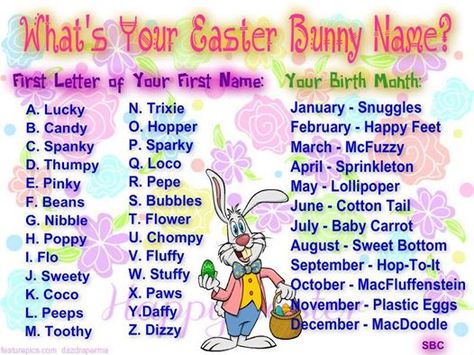 What is your Easter Bunny name??? Sleepover Hacks, Tupperware Games, Giveaway Games, Egg Plants, Funny Name Generator, Easter Bunny Name, Fun Names, Birthday Scenario, Facebook Games