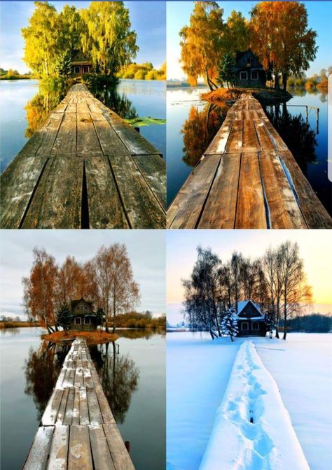 Four seasons in Finland Photo Series Ideas, Seasons Photography, Photography Series, Different Seasons, Photo Series, Photography Projects, Foto Inspiration, Pretty Places, Belle Photo