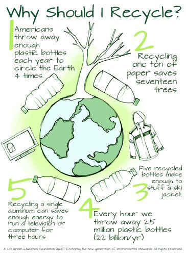 'Why Should I recycle poster.'- display for a bulletin board for conserving resources Why Recycle, Sustainability Education, Recycling Facts, Save Our Earth, Green School, Earth Day Activities, Poster Display, Environmental Education, Reduce Reuse Recycle