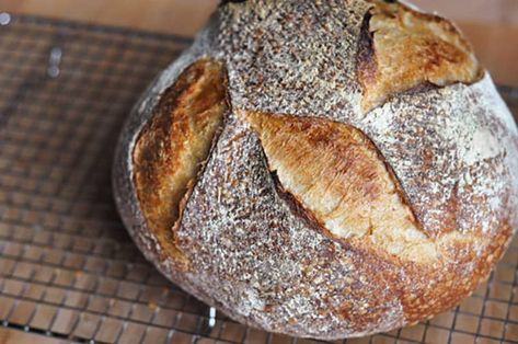 Country Loaf Bread Recipe, Country Bread Recipe, Tartine Bakery, Tartine Bread, Jim Lahey, Country Bread, Bread Starter, Sourdough Bread Recipe, No Knead Bread