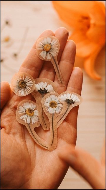 Melissa | diy | waldorfinspired | naturecraft on Instagram: "🌼 Pressed Daisy Flowers Stickers / Gänseblümchen-Aufkleber 

Welcome to Pressed Flowers Week 🌸 from June 17-21 

I've wanted to make stickers myself from pressed flowers for a long time, but unfortunately there was no biodegradable adhesive tape anywhere! A few days ago I finally found it, so I couldn't help it, I just had to participate with this project!

Use the hashtag #pressedflowersweek to join us with your own pressed flower crafts, recipes, etc. Feel free to re-create what the hosts are up to! 

🌸 We’ll be showing some love to those who participate through our stories 🌸

🎉Meet our hosts 🎉
And keep an eye out for their contributions this week!

@forest.roads 
@playful.petals
@kirstieaharrison 
@earth_and_sky_play 
@m Make Stickers, Pressed Flower Crafts, Daisy Flowers, June 17, Pressed Flower, Flower Crafts, Daisy Flower, Adhesive Tape, Pressed Flowers