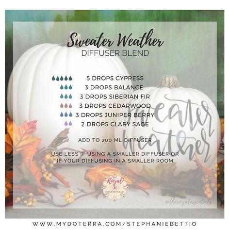 Sweater weather diffuser blend Sweater Weather Candle Diffuser Blend, Sweater Weather Diffuser Blend, Sweater Weather Candle, Doterra Diffuser Blends, Essential Oil Diffuser Blends Recipes, Weather Day, Clary Sage, Essential Oil Diffuser Blends, Oil Diffuser Blends