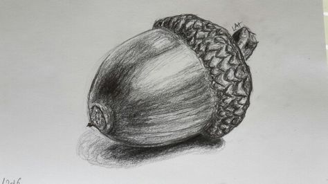 Acorn House Drawing, Fruit Pencil Drawing, Simple Acorn Drawing, Acorns Drawing, Acorn Drawing Sketches, Acorn Sketch, Acorn Clipart Black And White, Acorn Drawing, Drawing Fruit