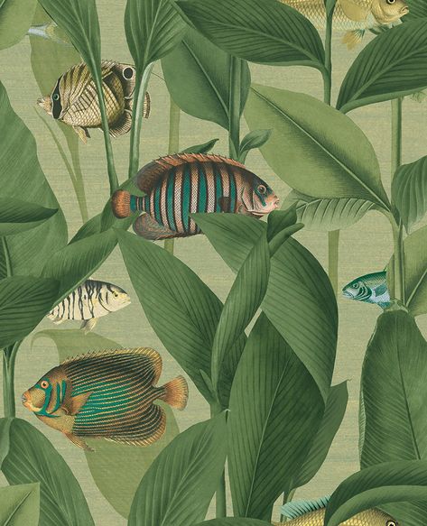 Drawing inspiration from the mix of rich green leaves featured in this design, Aquarium green mixes the trendy greens that have taken over interior spaces with something a little different as these tropical fish will catch anyone's eye as the swim across your walls. At Graham & Brown we have a huge range of wallpaper designs for you to choose from whether you're decorating your hallway, living room, bedroom or dining room we will have a wallpaper to suit your style! We are a carbon neutral busin Graham Brown, How To Hang Wallpaper, Teal Wallpaper, Aquarium Design, Fish Wallpaper, Graham & Brown, Exotic Fish, Wallpaper Designs, More Wallpaper