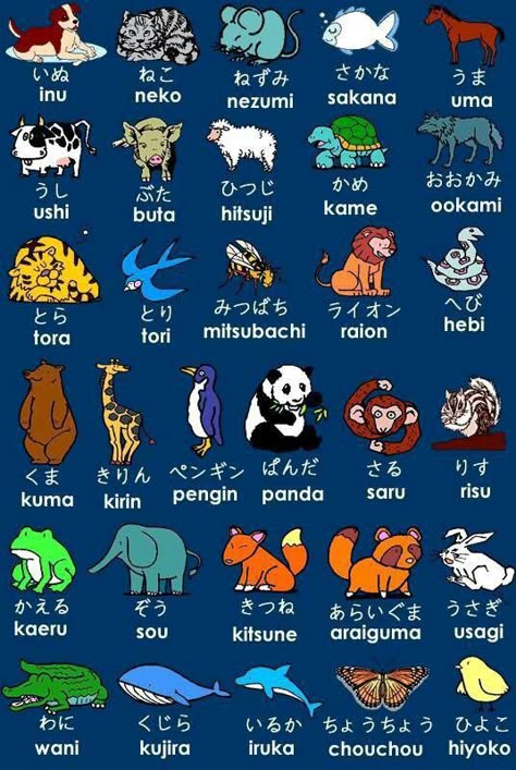 Japan For Kids, Learn Basic Japanese, Learn Japan, Bahasa China, Bahasa Jepun, Materi Bahasa Jepang, Japanese Language Lessons, Basic Japanese Words, Learn Japanese Words