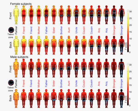 'Touchability Index' Ranks Europeans by Tolerance for Physical Contact - The Atlantic Stranger And Stranger, Physical Contact, Heat Map, Body Map, Area Map, Oxford University, Social Interaction, Body Language, Color Coding