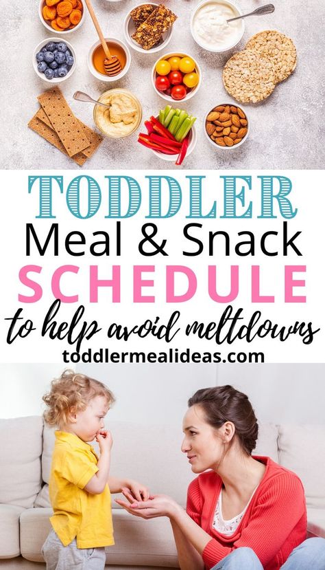 Toddler Meal Schedule, Meal Time Schedule, Toddler Eating Schedule, Snack Tray Ideas, Fig Bar, Meal Plan For Toddlers, Toddler Meal Ideas, Veggie Muffins, Toddler Snack