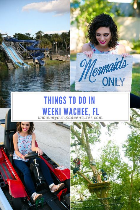 Weeki Wachee Florida, Mermaid Swim Tail, Weeki Wachee, Orlando Theme Parks, Park View, Tarpon Springs, Go Carts, Road Trip Fun, Adventure Park