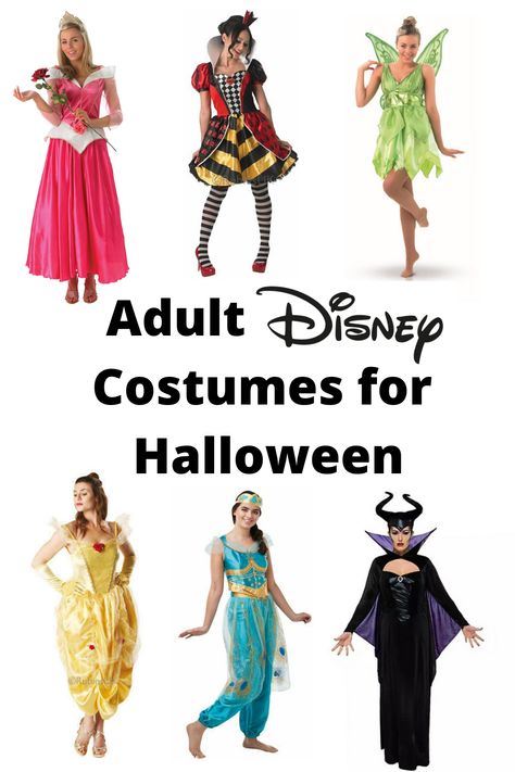 Adult Disney Princess Costume For Women, Easy Princess Costume For Women, Disney Costumes Adult Woman, Disney Costume Ideas For Women Easy Diy, Disney Fancy Dress Women, Adult Disney Costumes For Women, Easy Disney Costumes For Women, Womens Disney Princess Costumes, Disney Character Costumes For Women