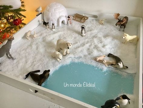 Biomes Project, Tuff Tray Ideas Toddlers, Diorama Kids, Ecosystems Projects, Habitats Projects, Nursery Activities, Christmas Village Display, Small World Play, Arctic Animals