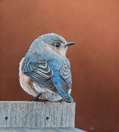 Bird Art & Artists | My watercolor painting of a bluebird | Facebook Birds Pictures Photography, Love Birds Painting, Bird Paintings, Mr Right, Bird Wall Decor, Original Watercolor Art, Cute Bird, Nursery Gift, Bird Wall Art