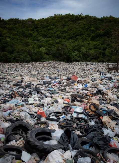 Clean Up Day, Beach Clean Up, Eco Friendly Building, Environmental Pollution, Clean Beach, Plastic Pollution, Pattaya, Plastic Waste, Ocean Beach