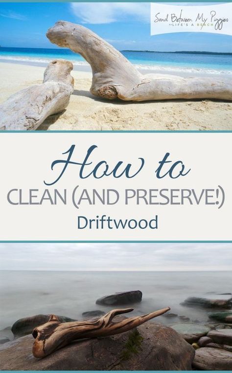 How to Clean Driftwood, How to Preserve Driftwood, Driftwood, Things to Do With Driftwood, Driftwood Crafts, Easy Driftwood Crafts, Popular #DIYDecor #DIYProjects #DIYHome #DIYHomeDecor #CoastalHome Preserve Driftwood, Clean Hacks, Deco Marine, Driftwood Diy, Hardwood Floor Cleaner, Cleaning Painted Walls, Driftwood Projects, Glass Cooktop, Deep Cleaning Tips