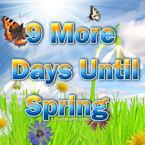 9 More Days Until Spring spring countdown Spring Meme, Days Until Spring, Spring Pictures, Tumblr Image, Spring Photos, Facebook Image, Inspirational Pictures, Pictures Images, Image Search