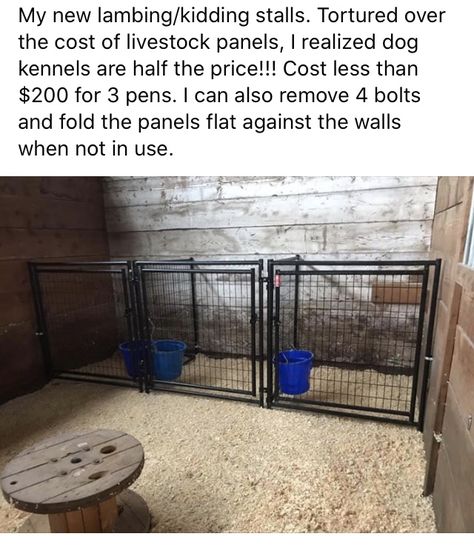 Lambing Pens Diy, Kidding Stalls For Goats, Horse Stall Dog Kennel, Show Lamb Pen Ideas, Show Lamb Pens, Diy Goat Stalls, Kidding Pens For Goats, Lamb Pen Ideas, Small Goat Barn Ideas