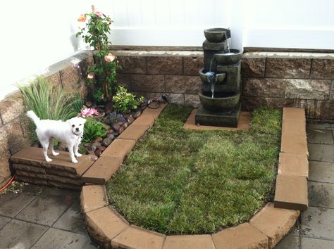 Doggie potty patch and planter Backyard Dog Area, Dog Potty Area, Diy Backyard Projects, Dog Backyard, Dog Toilet, Dog Yard, Dog Playground, Dog Potty Training, Dog Potty