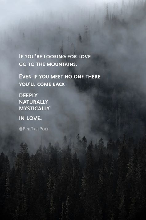 Adventure Poem written over foggy background. “If you’re looking for love, go to the mountains. Even if you meet no one there you’ll come back deeply, naturally, mystically in love.” Mountain Poems, Grayson Highlands, Mountain Lover, Facing The Sun, Grey Clouds, To The Mountains, Looking For Love, Look In The Mirror, Bad News