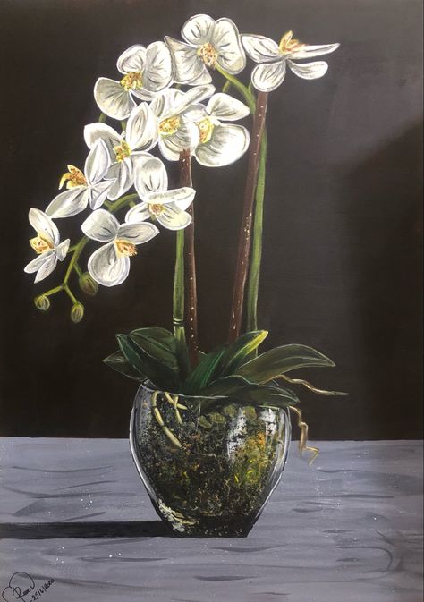 Orchid Painting Acrylic, Orchid Painting, Orchids Painting, White Orchids, Orchid Flower, Laptop Wallpaper, Flower Vase, Flower Drawing, Floral Painting