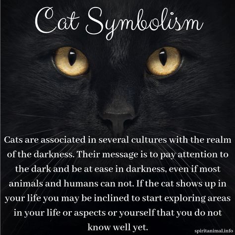 Cat Spirit Animal Spiritual Meaning Of Cats, Cat Meaning Spirit Animal, Black Cat Spirit Animal, Black Cat Witchcraft, Spiritual Meaning Of Black Cats, Cats In Witchcraft, Black Cat Knowledge, Black Cat Symbolism, Animal Spirit Art