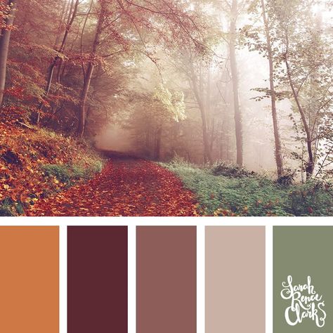 Wanderlust color inspiration - I love this moody color scheme! | Click for more color combinations inspired by beautiful landscapes and other coloring inspiration at https://sarahrenaeclark.com | Colour palettes, colour schemes, color therapy, mood board, color hue Nature Background Images, Color Catalog, Forest Color, Color Schemes Colour Palettes, Nature Color Palette, Room Color Schemes, Fall Color Palette, Color Palette Design, Colorful Landscape