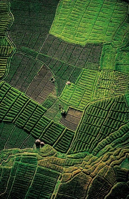 Bird's Eye Views That Will Leave You Breathless ... Monte Everest, Rice Fields, Bhutan, Birds Eye View, Drone Photography, Aerial Photography, Mongolia, Birds Eye, Color Textures