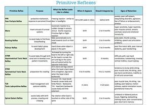 Primitive reflexes chart Vision Therapy Activities, School Based Therapy, Primitive Reflexes, Motor Coordination, Vision Therapy, Pediatric Therapy, Medical Facts, Sensory Integration, Grammar Rules