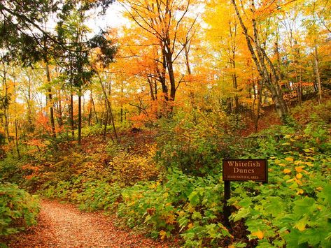 The best things to do in Door County in the fall - Curbed Chicago Door County Wisconsin Fall, Cana Island Lighthouse, Door County Wi, Door County Wisconsin, Sturgeon Bay, Wisconsin Travel, In Door, Door County, Fall Door