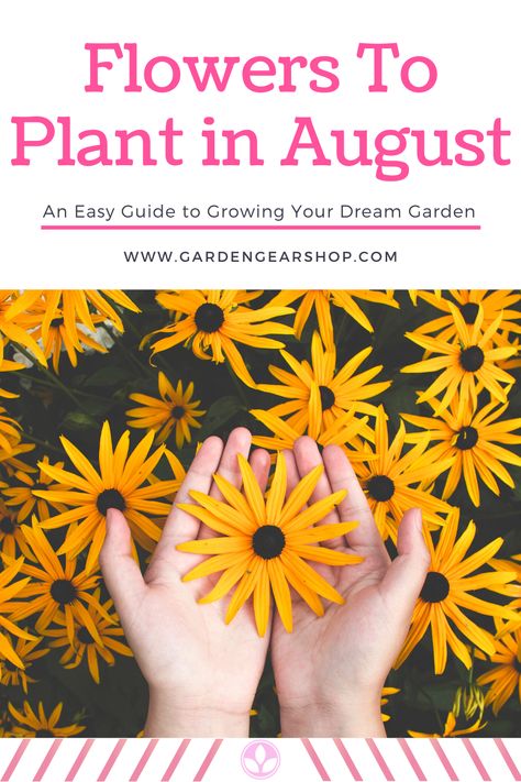 Fall Garden Design, Fall Flowers To Plant In August, Mississippi Flowers, Flowers To Plant In Summer, Flowers To Plant In August, August Planting, Flowers To Plant In Fall, Autumnal Garden, Fall Planting Perennials